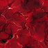 Crimson Network Wallpaper #93